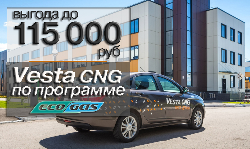 программа ECOGAS